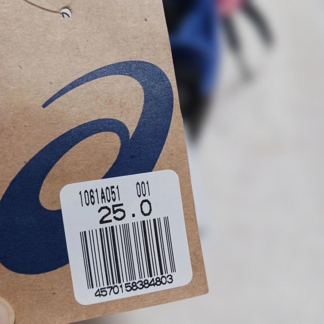 シューズ(男性用) NOVA SURGE LOW 2 25.0cm