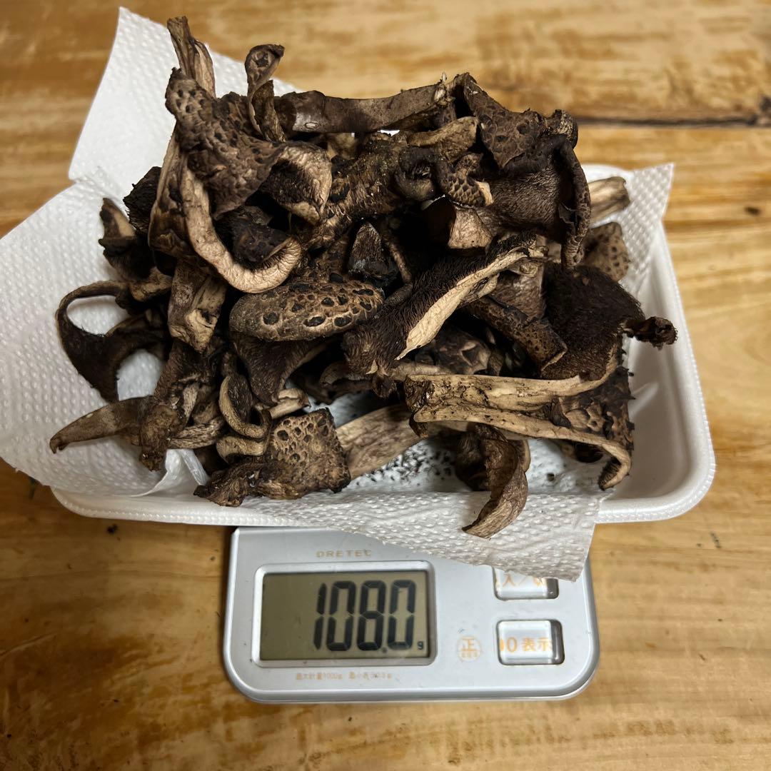 香茸　乾燥　A等級300g以上　BC等級オマケ