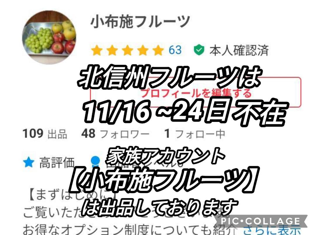 【ご案内】信州高山村のふじ　3キロ