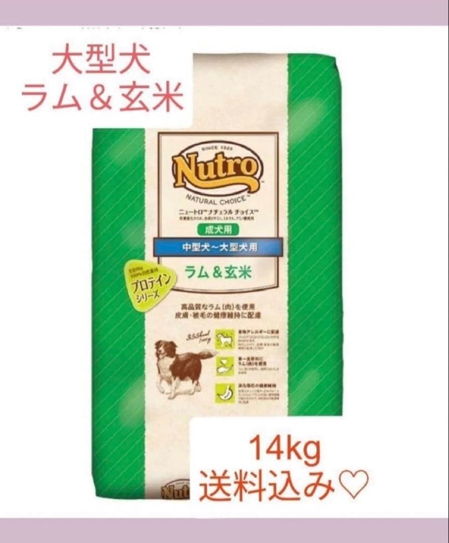 ニュートロ ナチュラル チョイス 中～大型犬用 成犬用 ラム＆玄米