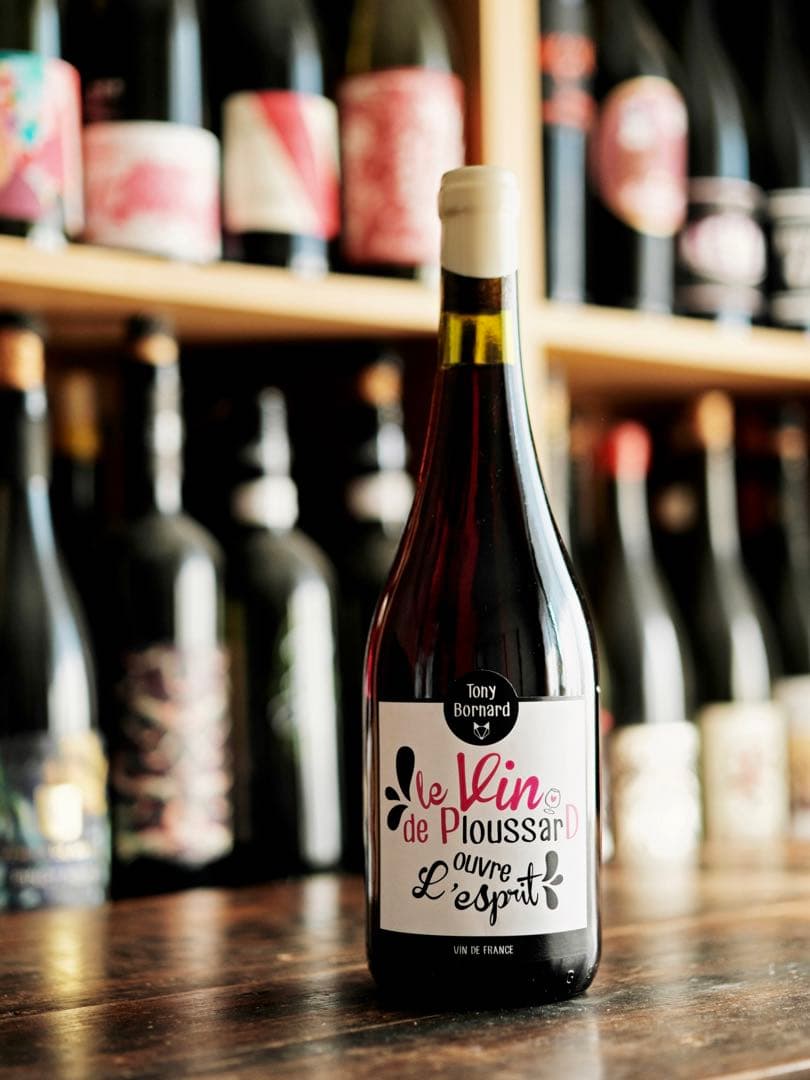 トニー・ボールナール　ル・ヴァン・ド・プルサール・ウーヴル・レスプリ