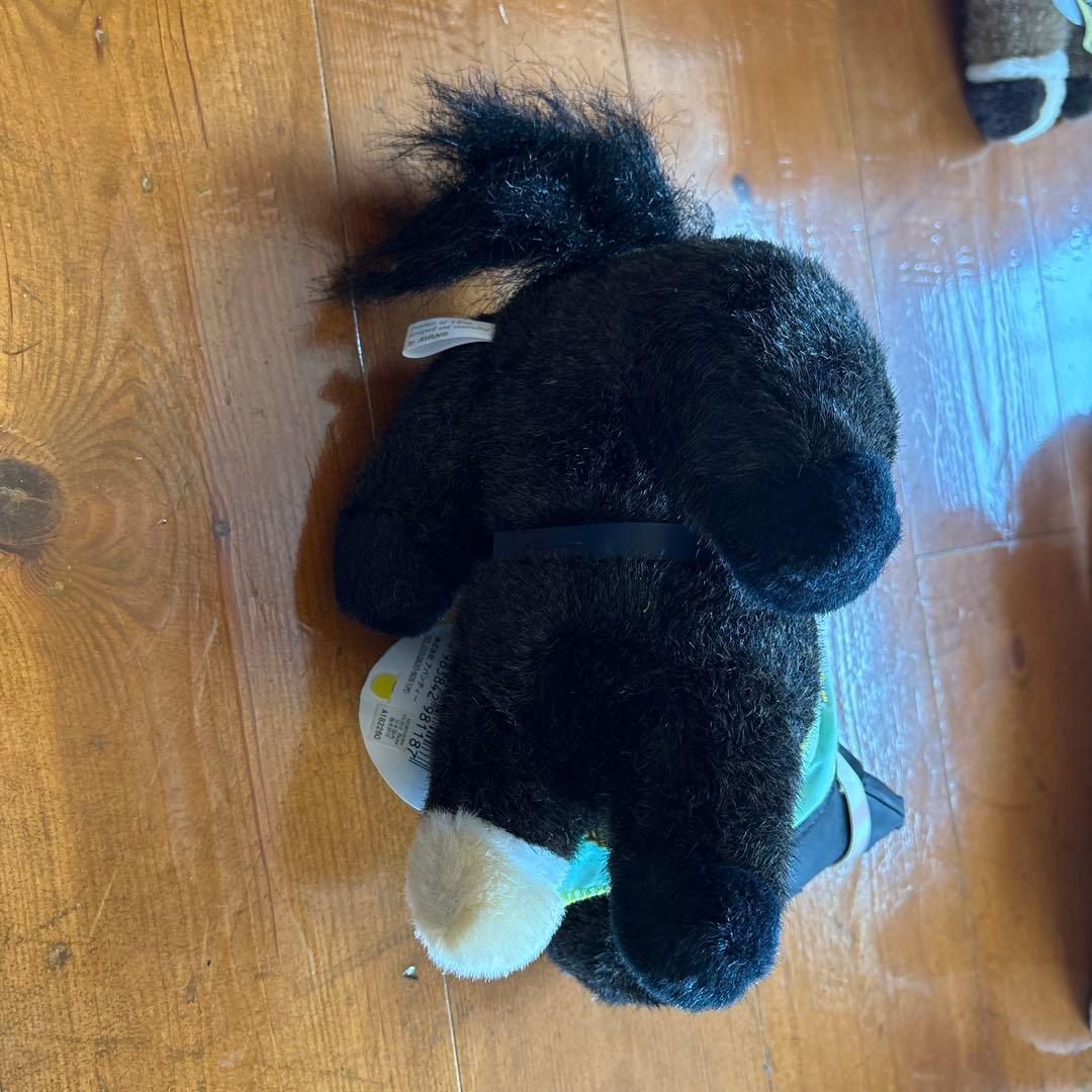 ステイゴールド 2001 THE HONG KONG VASE avanti