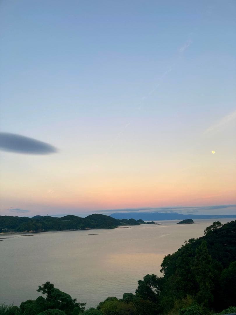 さくらんぼ　ニホンミツバチ　生ハチミツ　1030g、1120g 2本