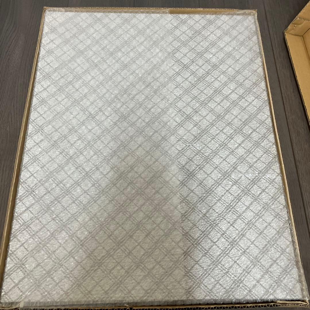 ロックマンX 25周年記念　額装グラフィックアート　受注生産品　イーカプコン