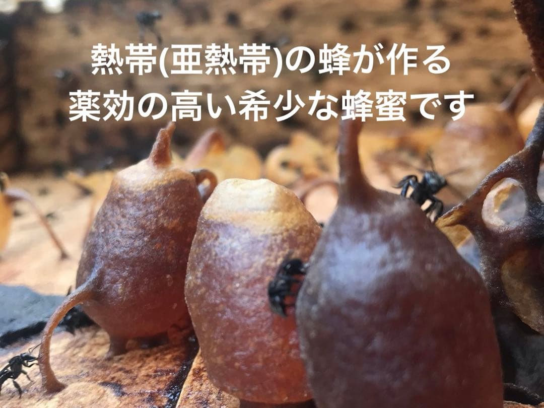 針なしミツバチの蜂蜜135g~145g 6本、クサンバの塩、ココナッツシュガー