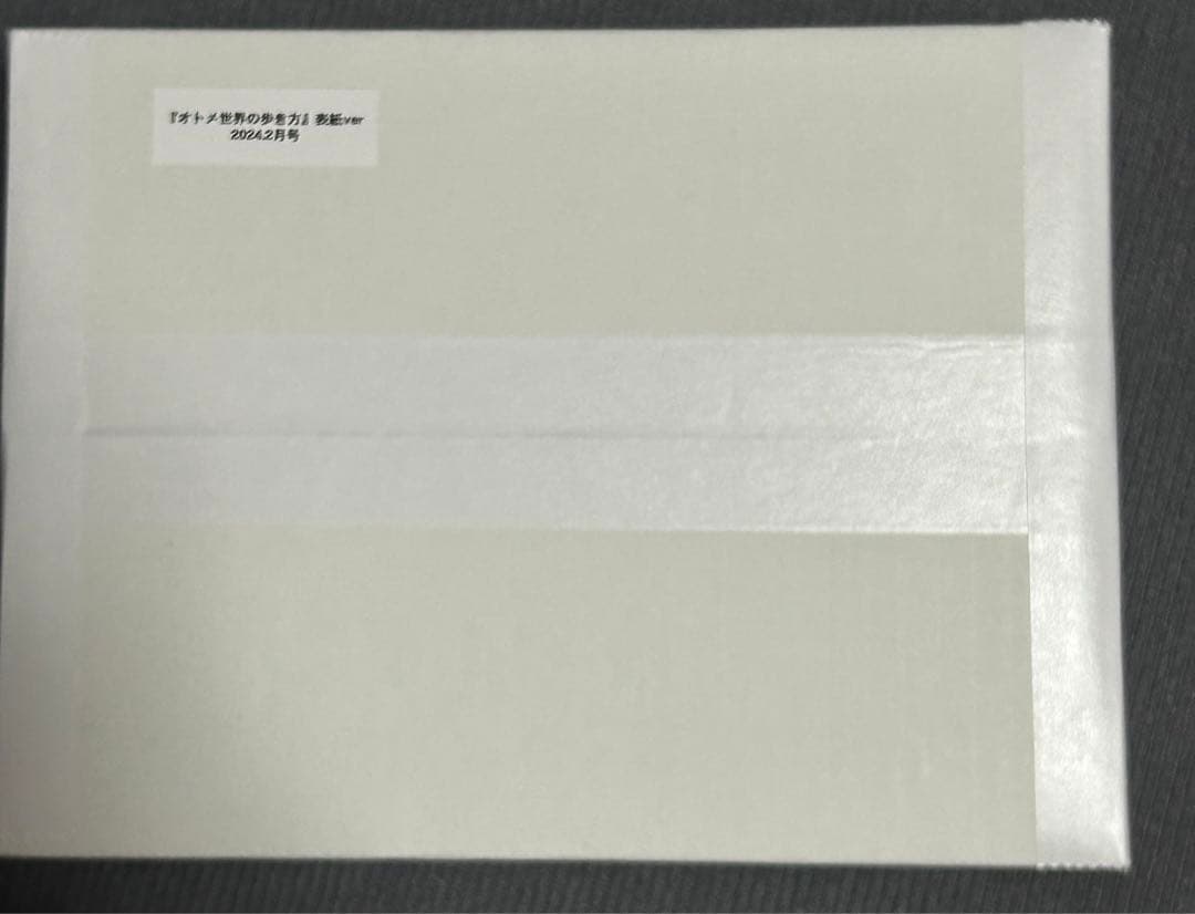 【新品未開封】bug bugオトメ世界の歩き方 B2タペストリー 表紙ver