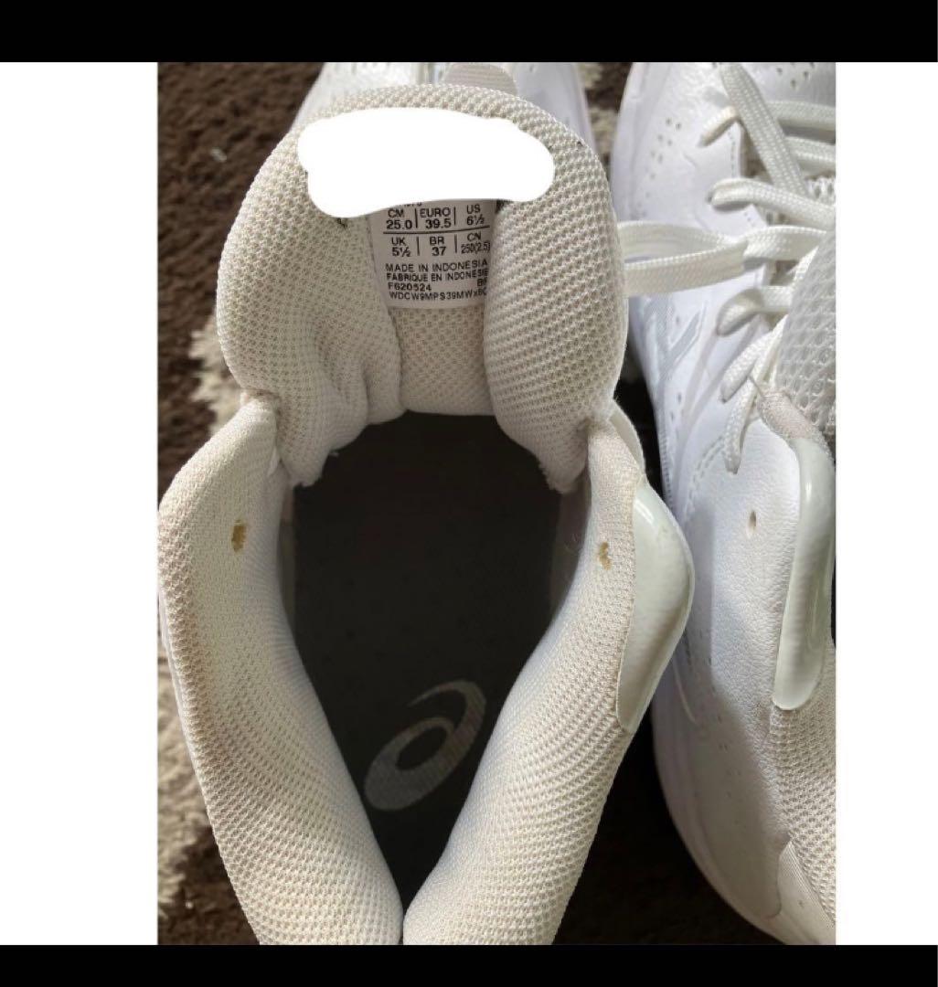 使用3回asicsバッシュ25㎝