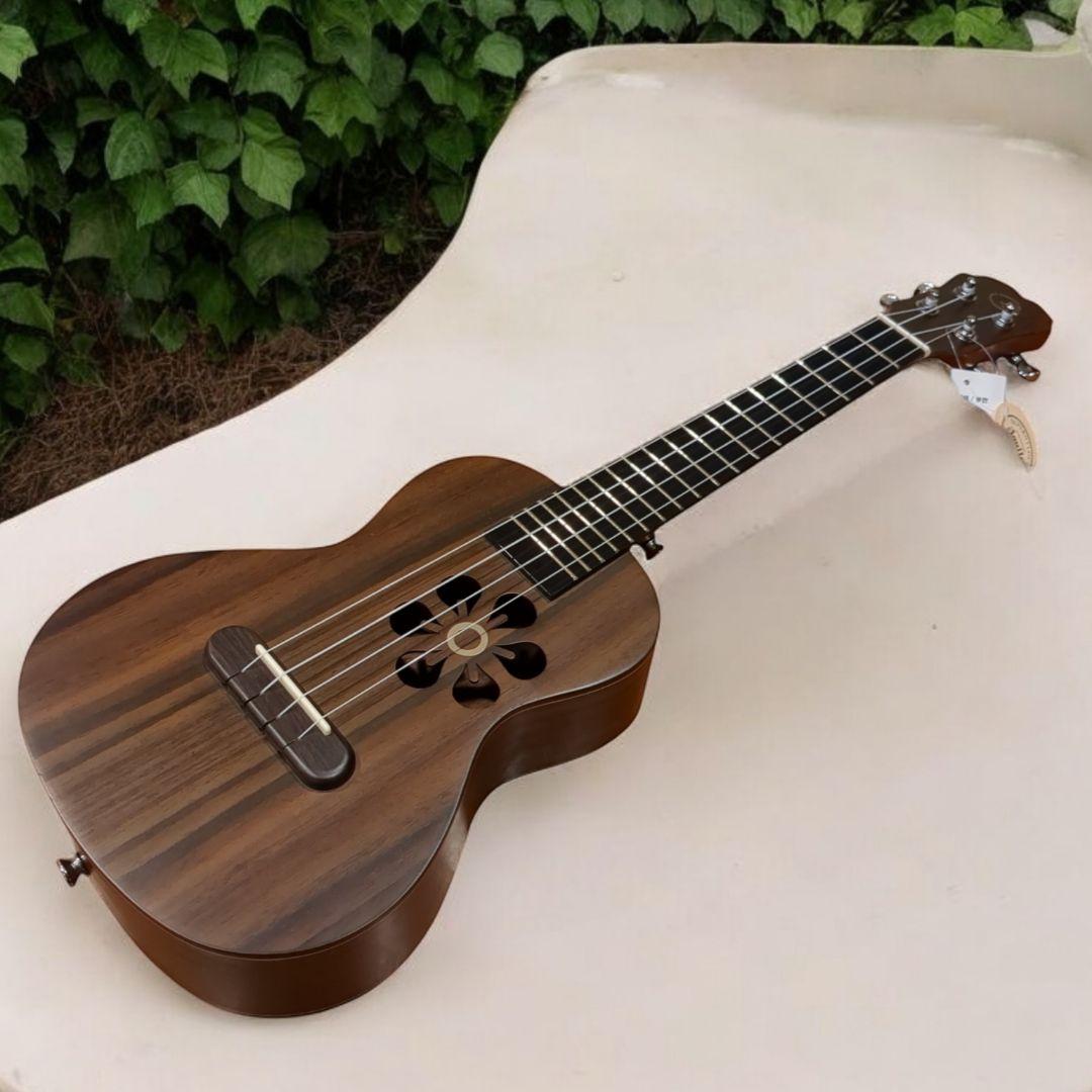 Populele S1 ポピュレレ 音響電気スマートギターウクレレコンサート