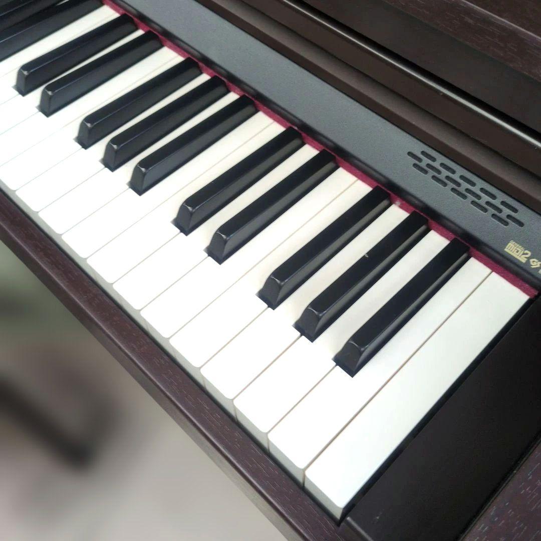鍵盤楽器 ROLAND Digital Piano HP203