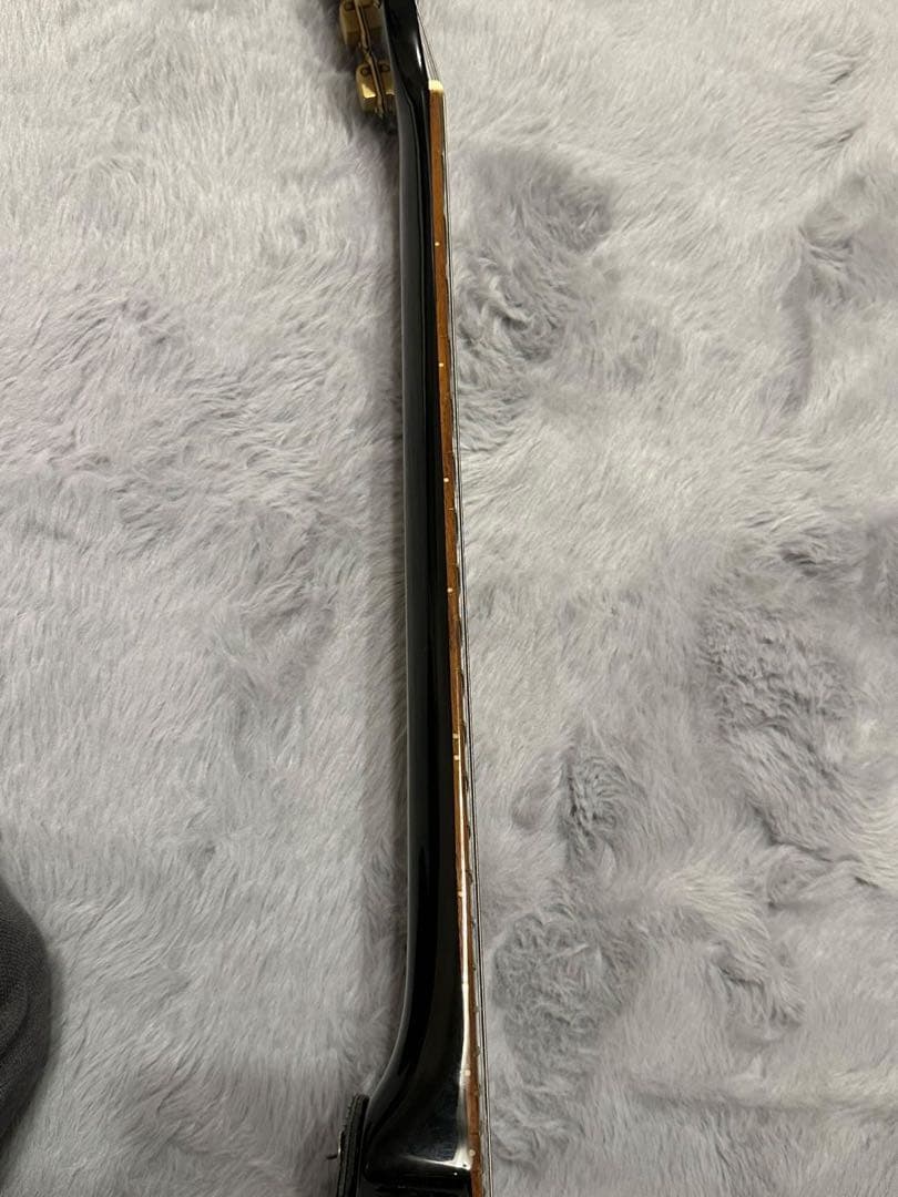 Bacchus Brian Flying V フライングV model