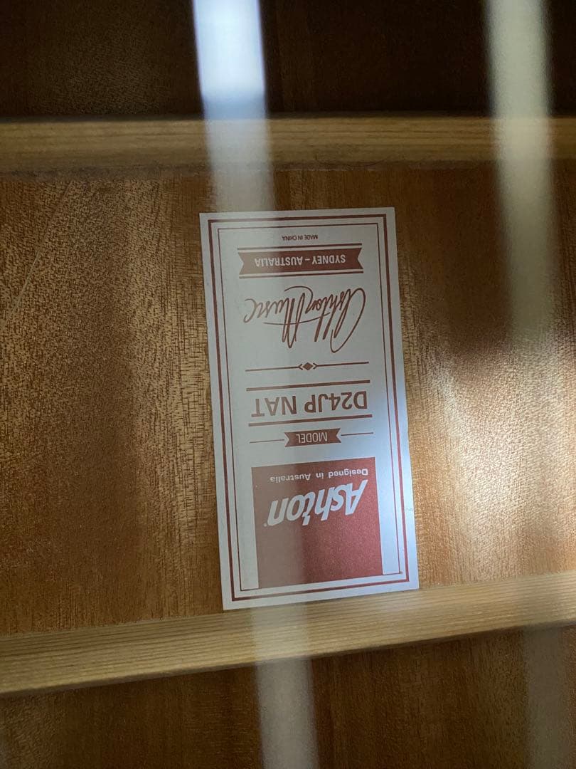 Ashton アコースティックギター ギターケース付き