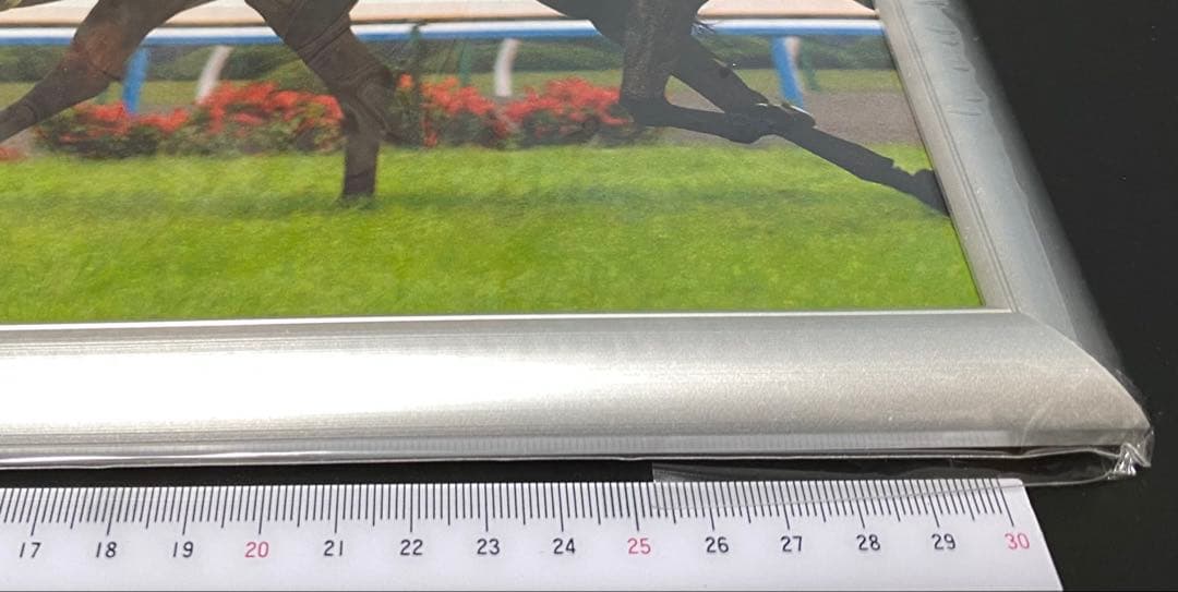 ダイワメジャー 非売品 パネル 新品未開封