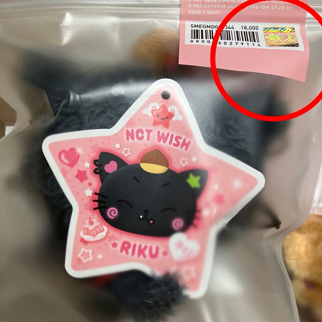 リク　マスコットキーホルダー　md　ぬいぐるみ　クリ　nct wish doll