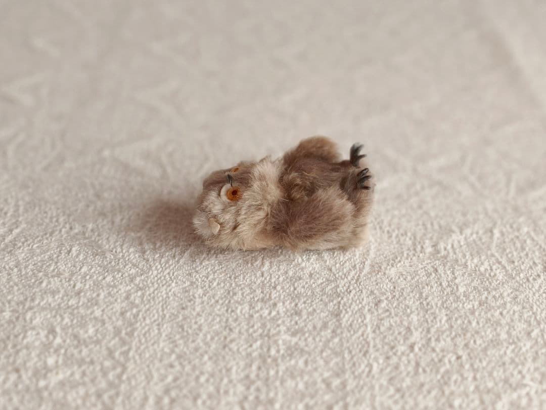 * vintage owl ❀ * もふもふ フクロウさん