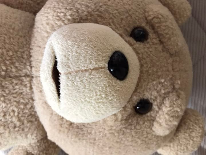 テッド　Ted ぬいぐるみ