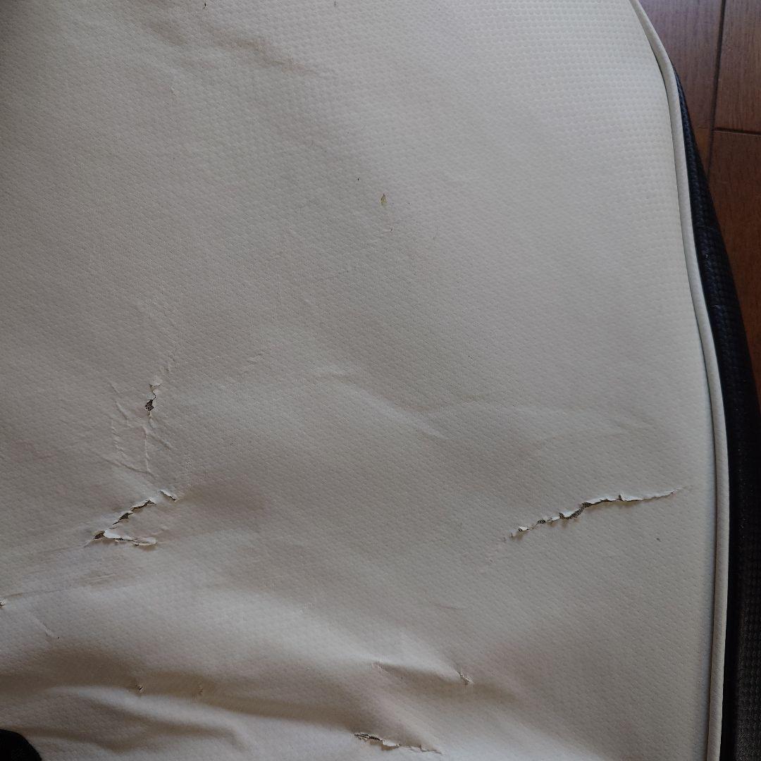 【週末特価2/1まで】PING キャディーバッグ