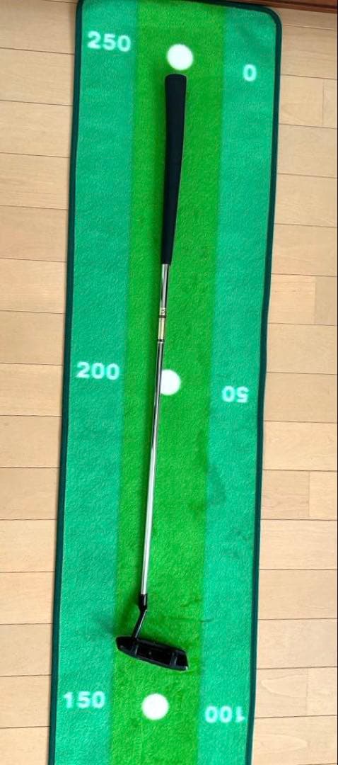 【レア】タイトリストDEAD CENTER パター