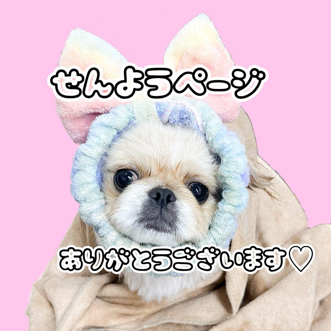 専用ページ☆ ラッピング シール 用品まとめ売り