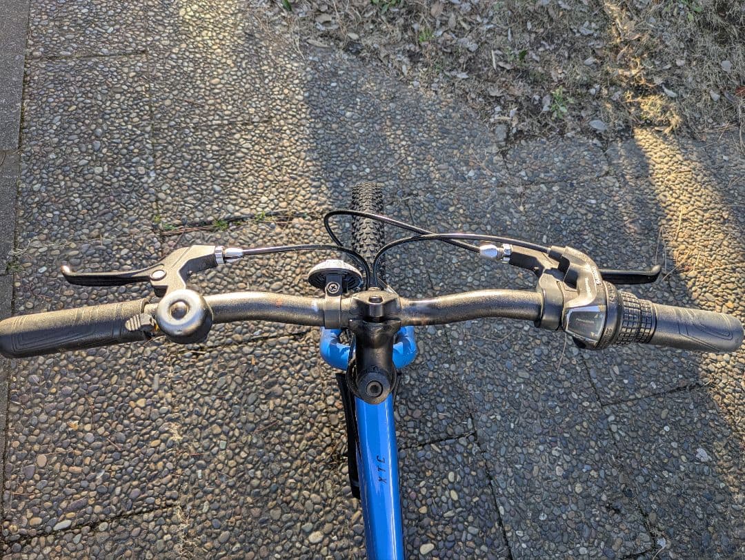 自転車 20インチ キッズバイク ジャイアント