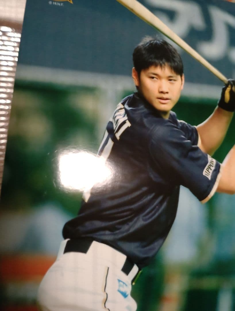 大谷翔平 2013 ハイライトフォト No.376 日本ハム 球団公式写真