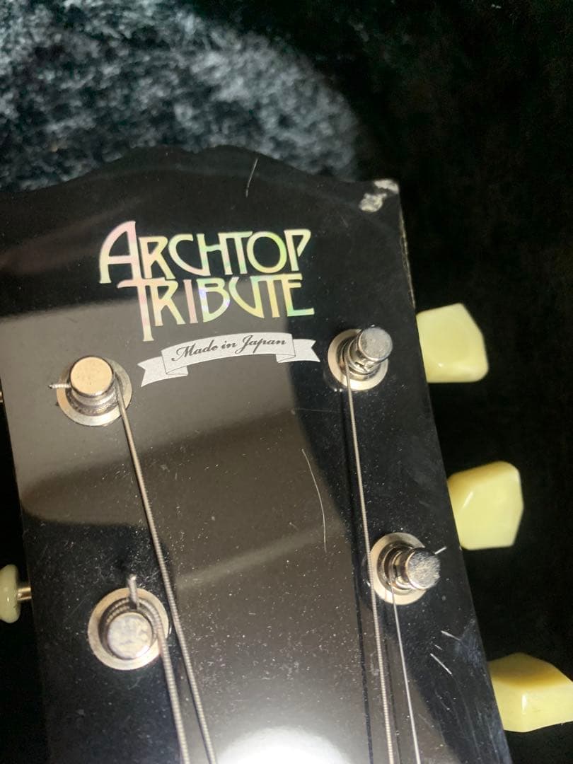 Archtop Tribute 175タイプ