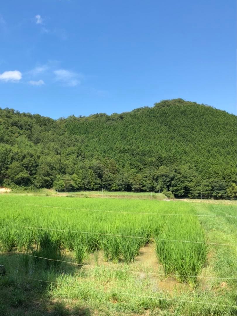 Natural farming自然栽培玄 モンテッソーリー教育 腸脳相関 知育