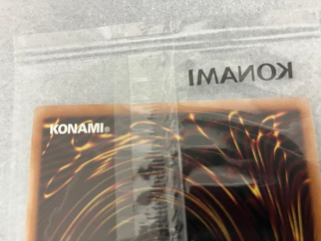 レッドアイズブラックドラゴン RED-EYES BLACK DRAGON 遊戯王