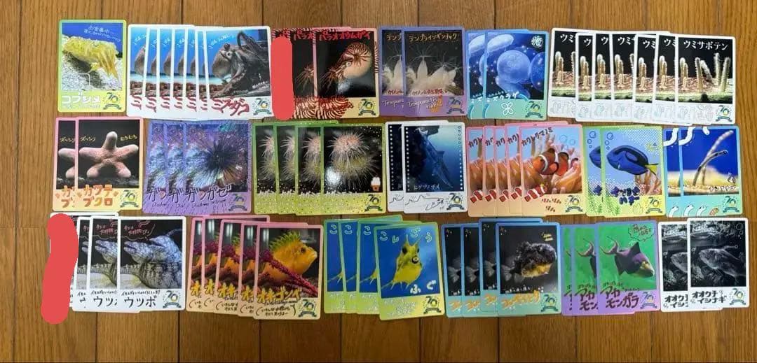 TOBA AQUARIUMコレクションカード 鳥羽水族館　コレバラ売り