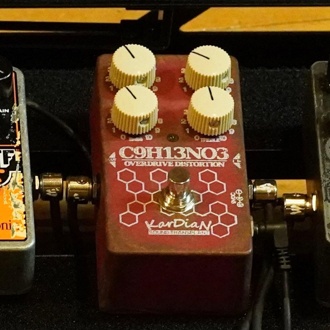 【箱無し】KarDiaN C9H13NO3 \