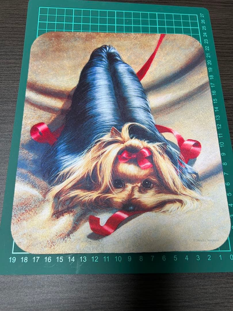 ヨークシャテリアグッズセット