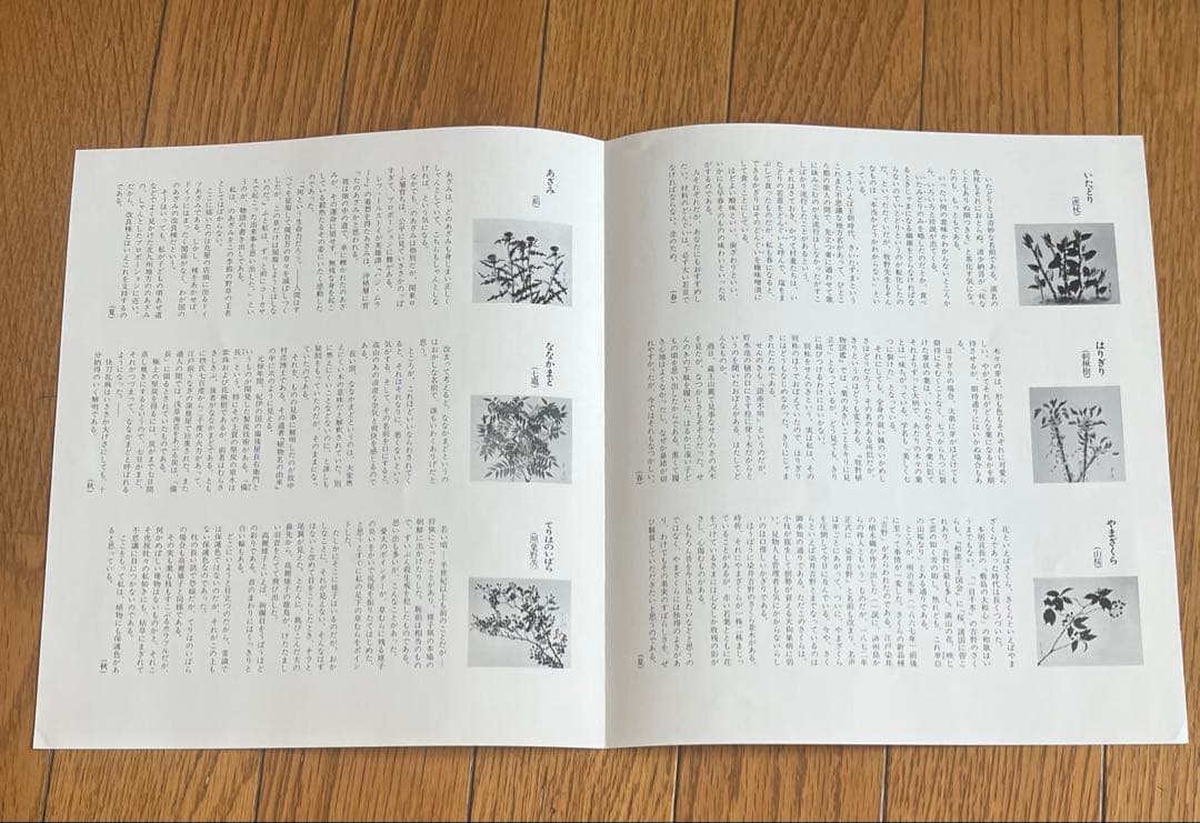 鶴田智也 限定画集 463番