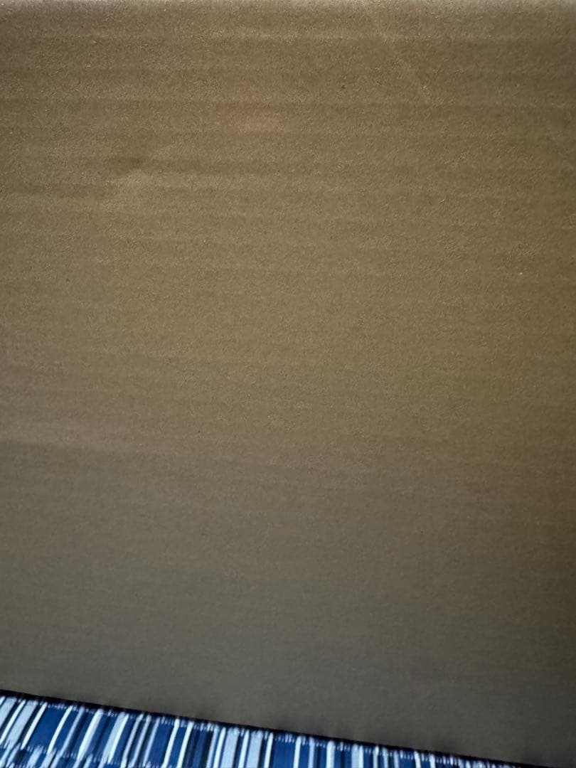 ムニキスゼロ　1カートン完全未開封　ポケモンカード　即日発送　12box