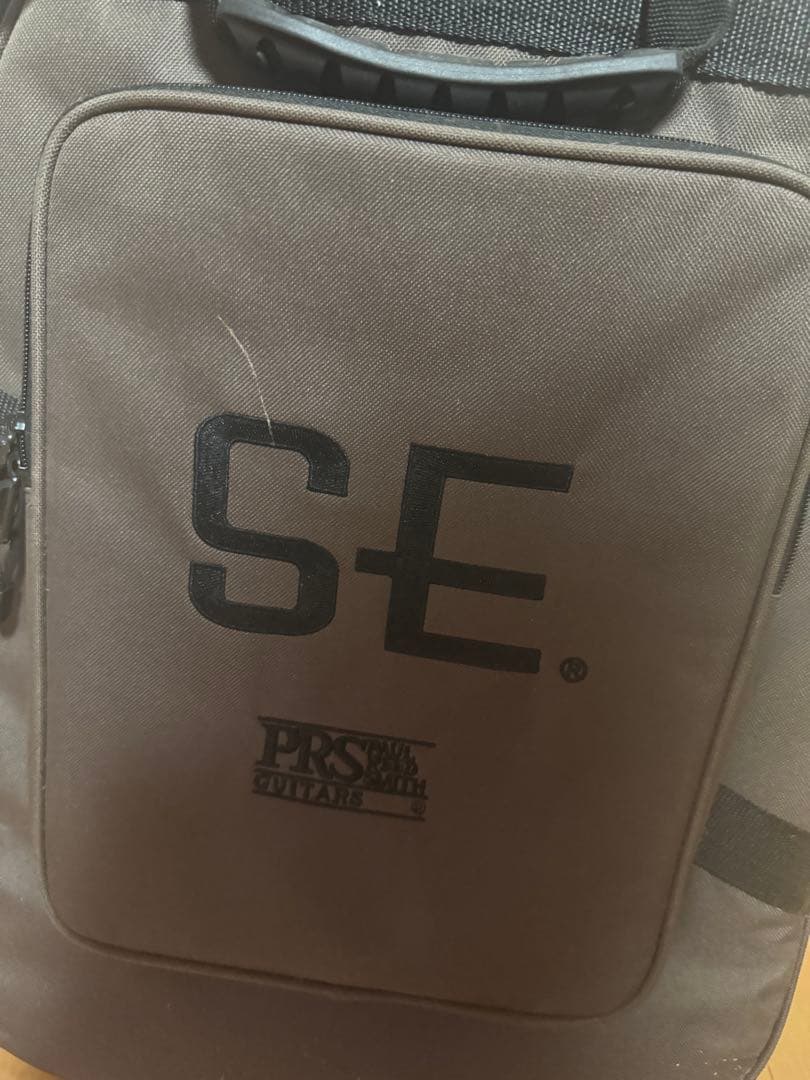 ギター Paul Reed Smith SE Custom