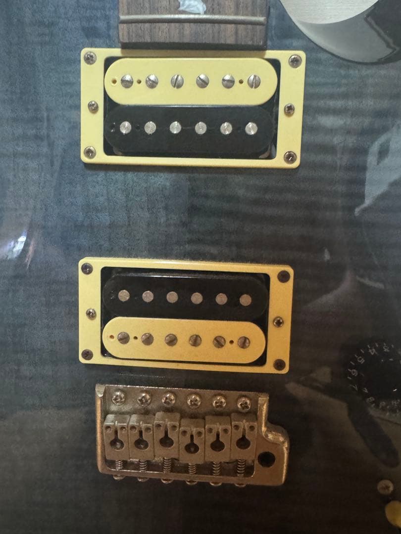 ギター Paul Reed Smith SE Custom