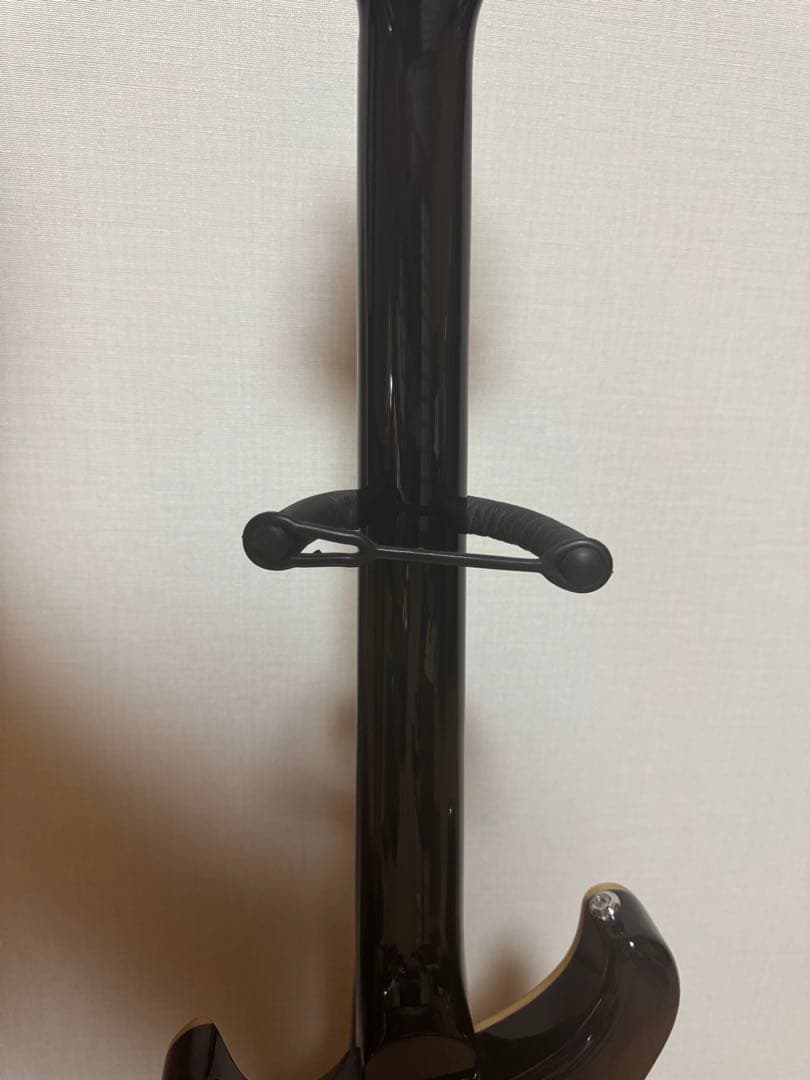 ギター Paul Reed Smith SE Custom