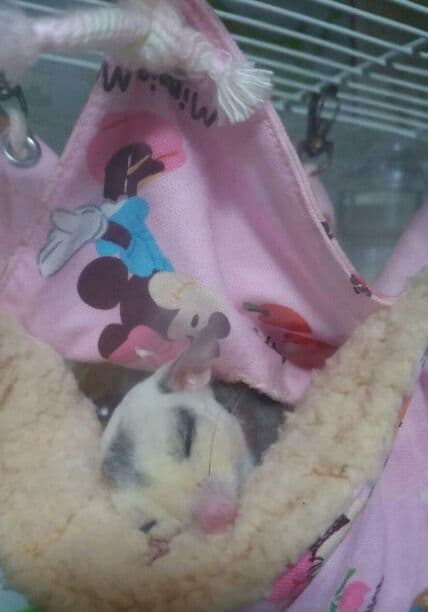 モモンガハウス(大きい花柄) ボアピンク   2100円