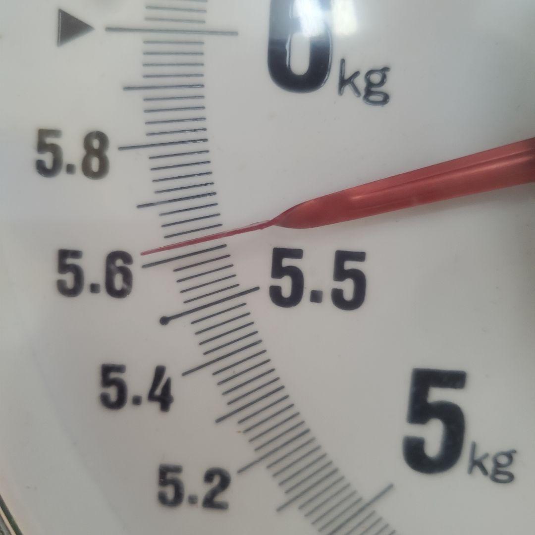 7️⃣ 山梨県産 シャインマスカット １３房入り 箱込み5.5キロ