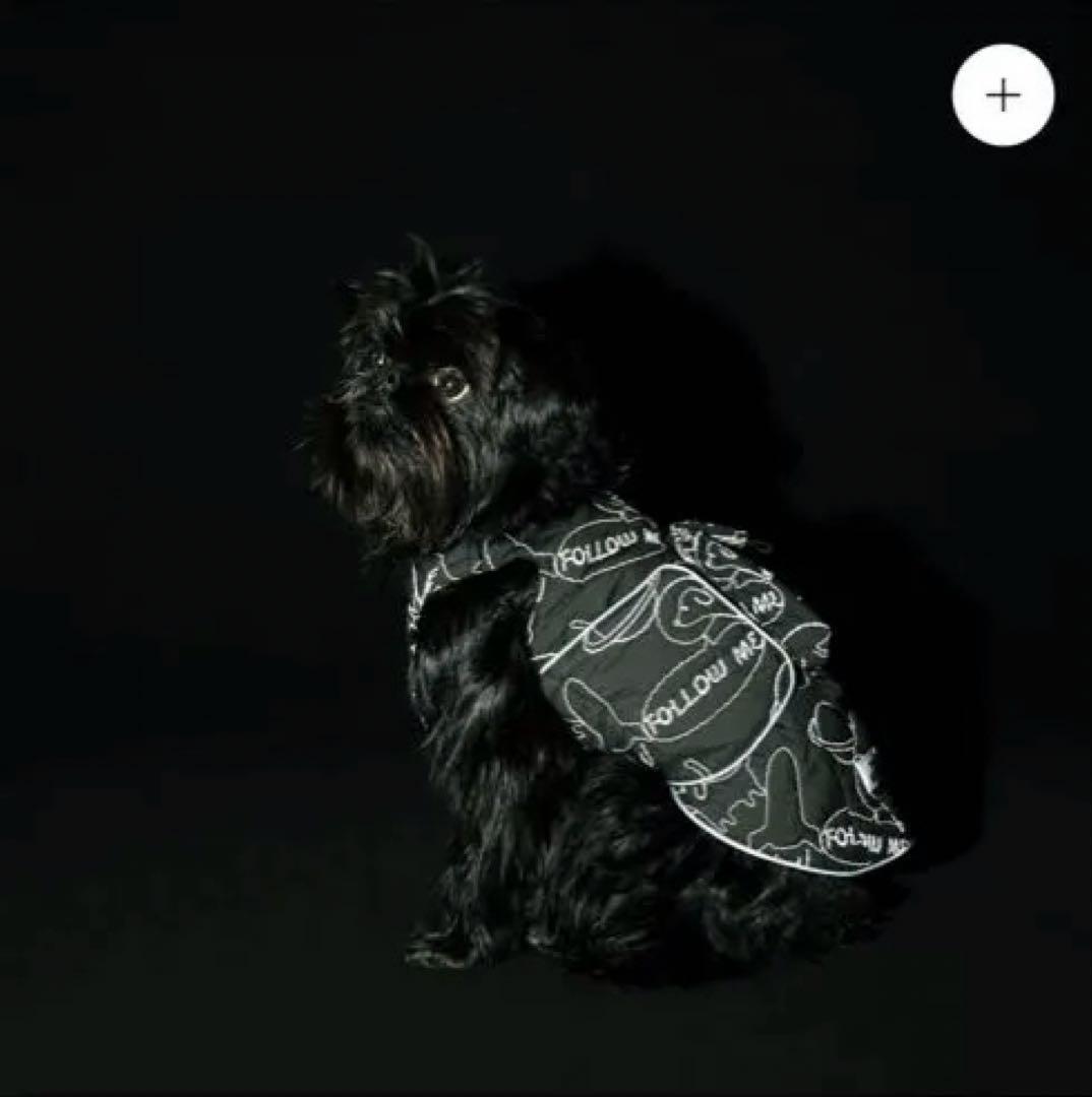 アルファアイコン AIR LINER エアライナー COSMIC 1L ポケット