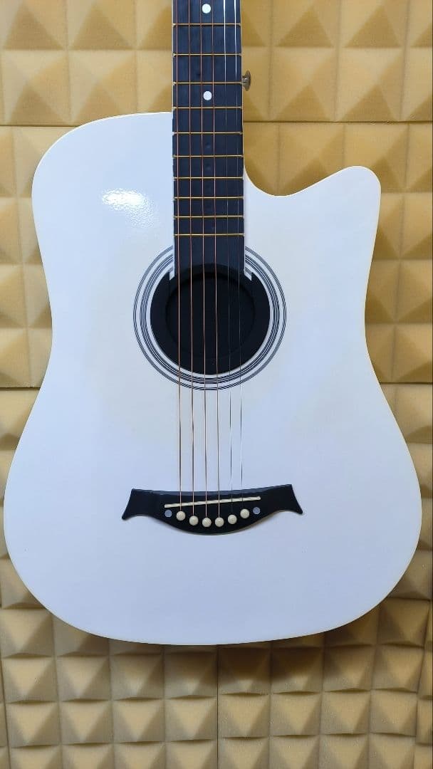 [美品] Canny アコースティックギター CN-01