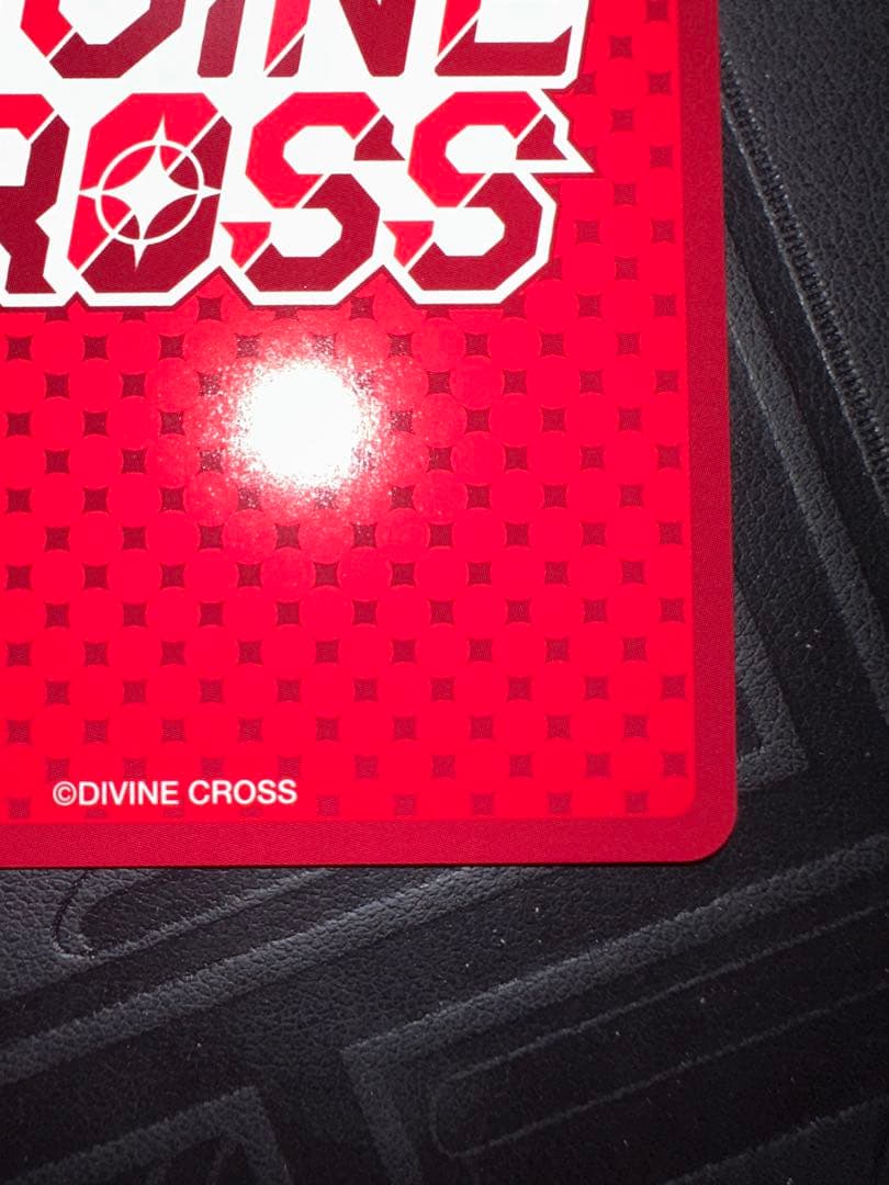 divine cross sec ビーチで海水浴　千羽　シリアル