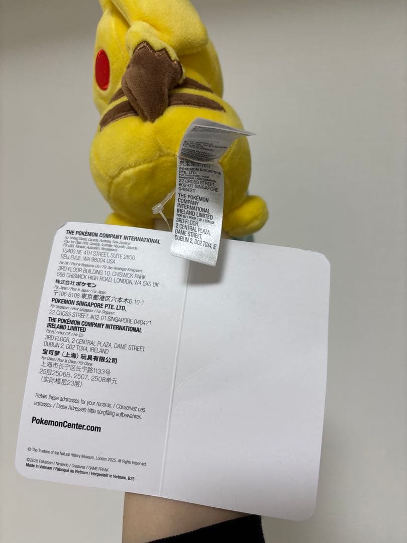 ロンドン　自然史博物館　ポケモン　ピカチュウぬいぐるみ