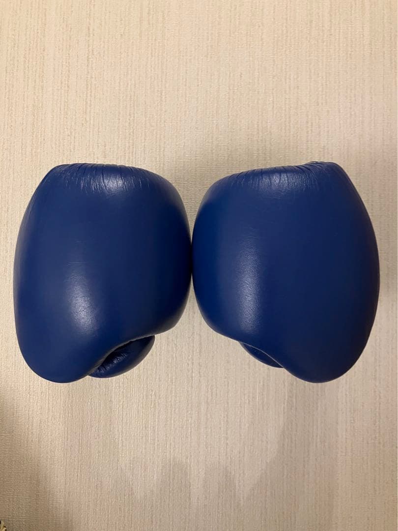 winning ウィニングボクシンググローブ ブルー 10オンス MS-300B