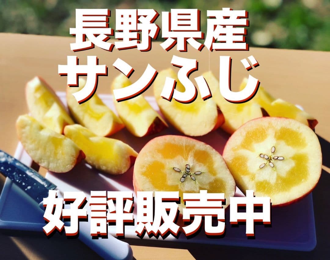 ヒマワリ ☆プロフ必読☆ 長野県産　サンふじ　15キロ箱　家庭用　送料込み