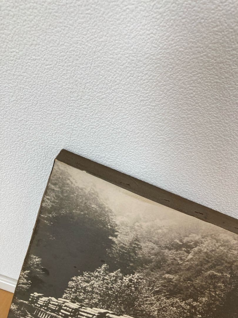 長野木曽森林鉄道の写真　蒸気機関車