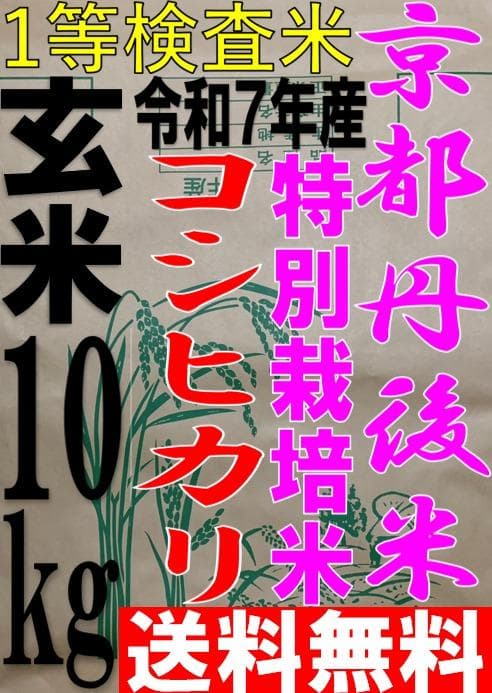一等検査 特別栽培米 玄米 令和7年産 京都 丹後 コシヒカリ 10kg