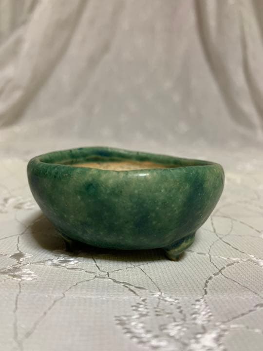 小鉢2点セット！！