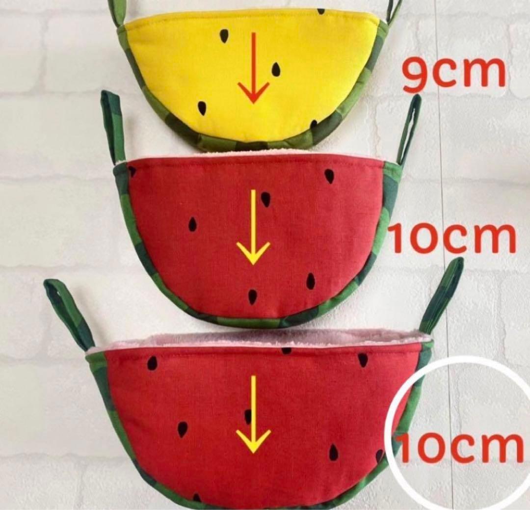 フクロモモンガポーチ　ちゃーちゃん様