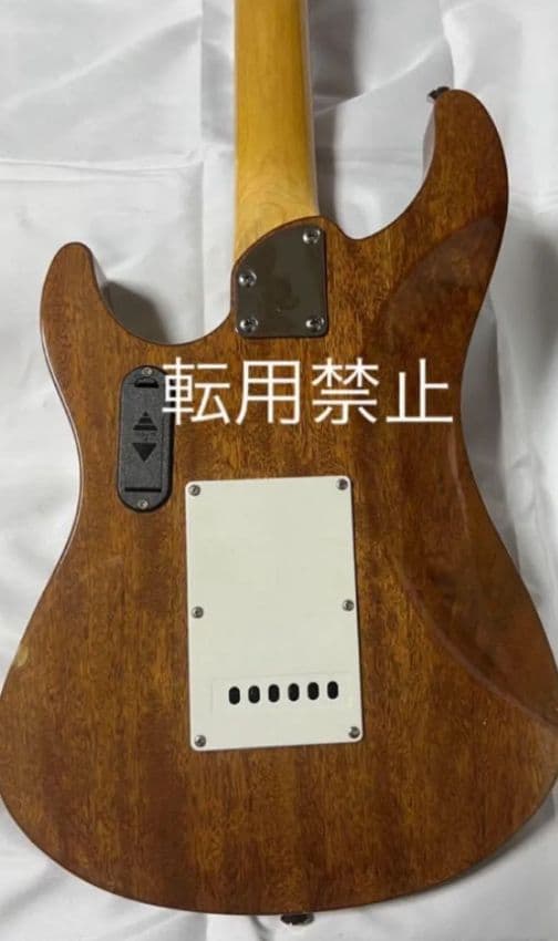 【珍品・激レア】Santanu Pro 光るギター