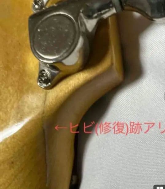 【珍品・激レア】Santanu Pro 光るギター