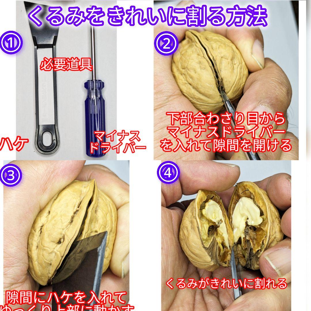 【ジャンドゥーヤ商品】 25年産 新物 国産 殻付き信濃くるみ 長野県産